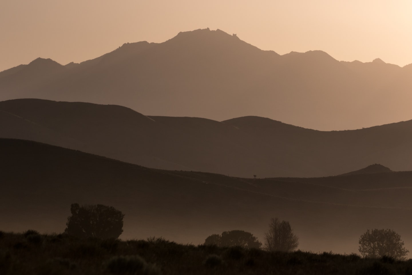 Colinas y montañas onduladas silueteadas al amanecer con una ligera neblina.